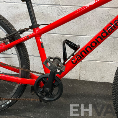 Cannondale Kids Bike