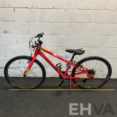 Cannondale Kids Bike