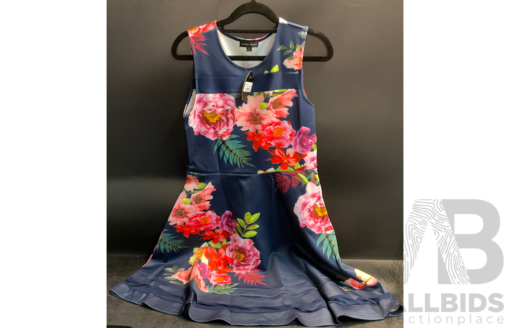 Assorted Maternity Clothing for Size 6, 8, 10, 12, XS, S, M. Includes Lily & Me, the Mother Land, Caroline Morgan & More