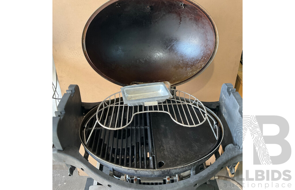 Ziegler & Brown Twin Grill  LPG BBQ