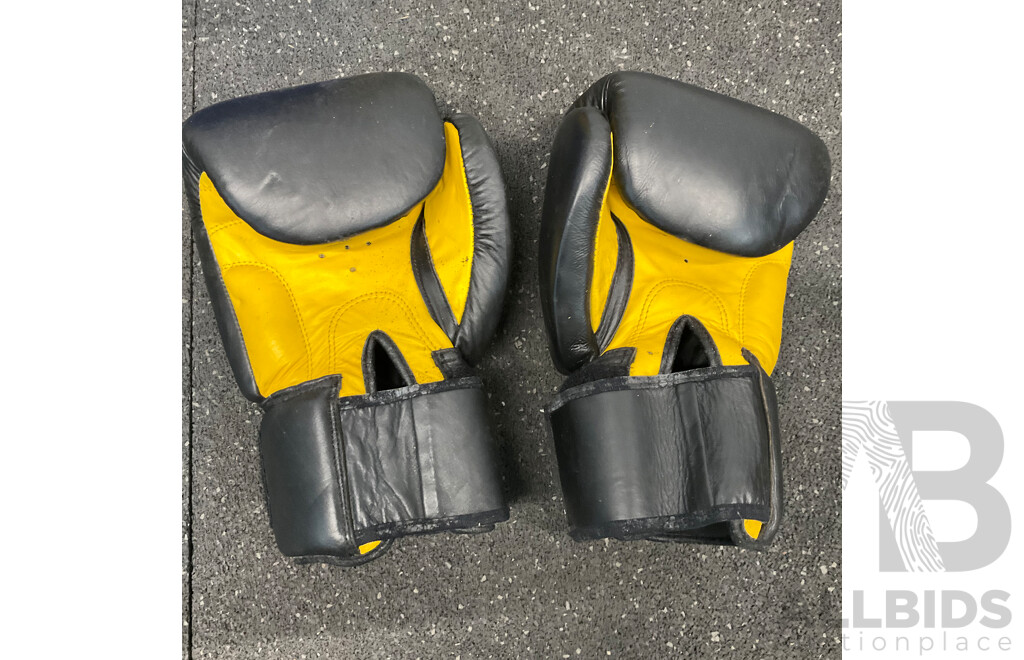 Assorted Boxing Pad, Gloves and More