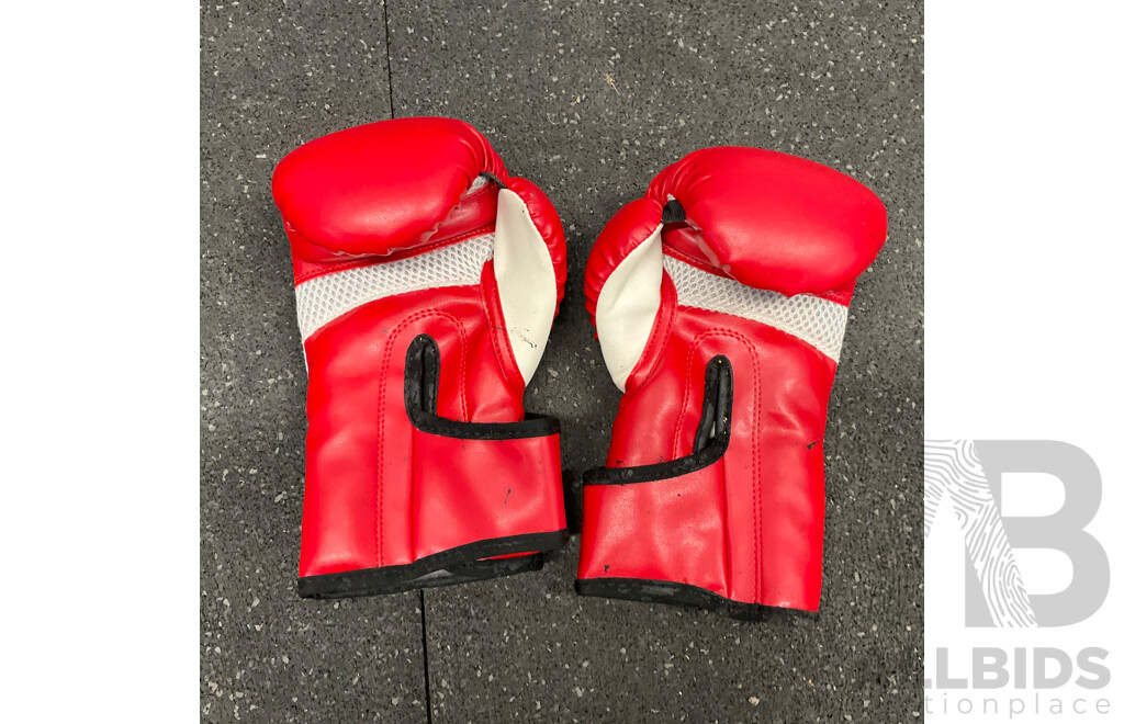Assorted Boxing Pad, Gloves and More