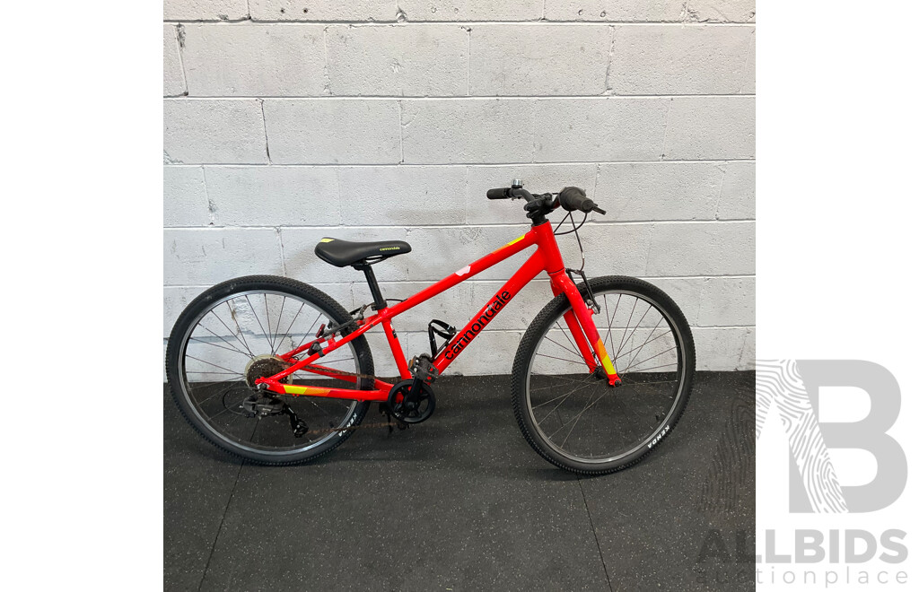 Cannondale Kids Bike