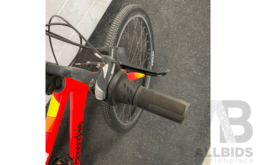 Cannondale Kids Bike