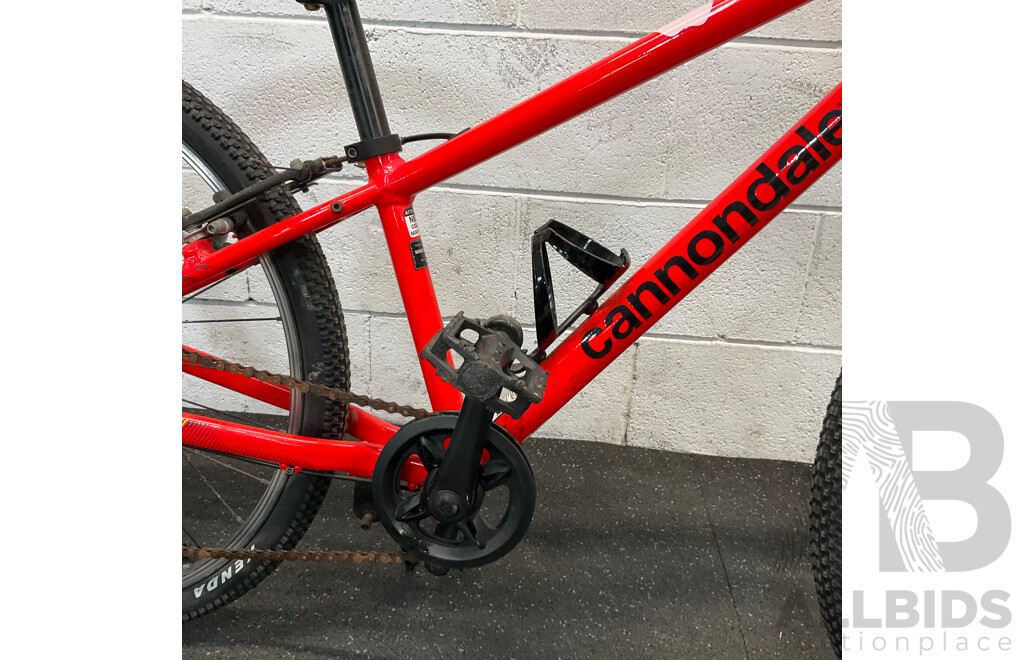 Cannondale Kids Bike