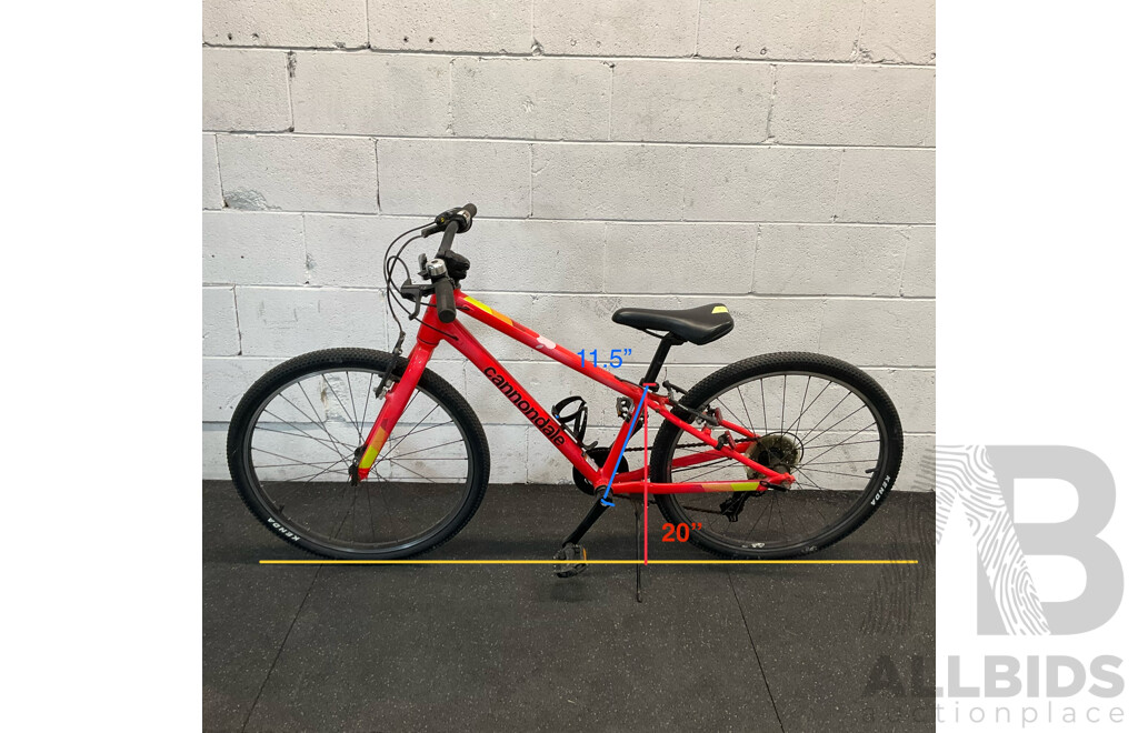 Cannondale Kids Bike