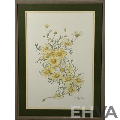 M. Kyngdon, (20th Century), Still Life - Yellow & White Daisies, Original Vintage Lead and Coloured Pencil Drawing, 61 x 44 cm (frame)