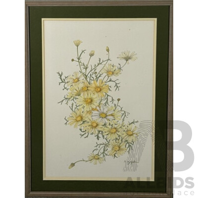 M. Kyngdon, (20th Century), Still Life - Yellow & White Daisies, Original Vintage Lead and Coloured Pencil Drawing, 61 x 44 cm (frame)