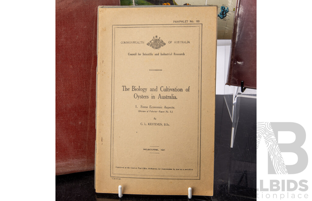 Collection Antique & Vintage Books Relating to Australian Geography, Cartography and Soils, Including Handbook of NSW, 1914, Geography of NSW, 1912, Geographical Encyclopedia of NSW, 1892 and More