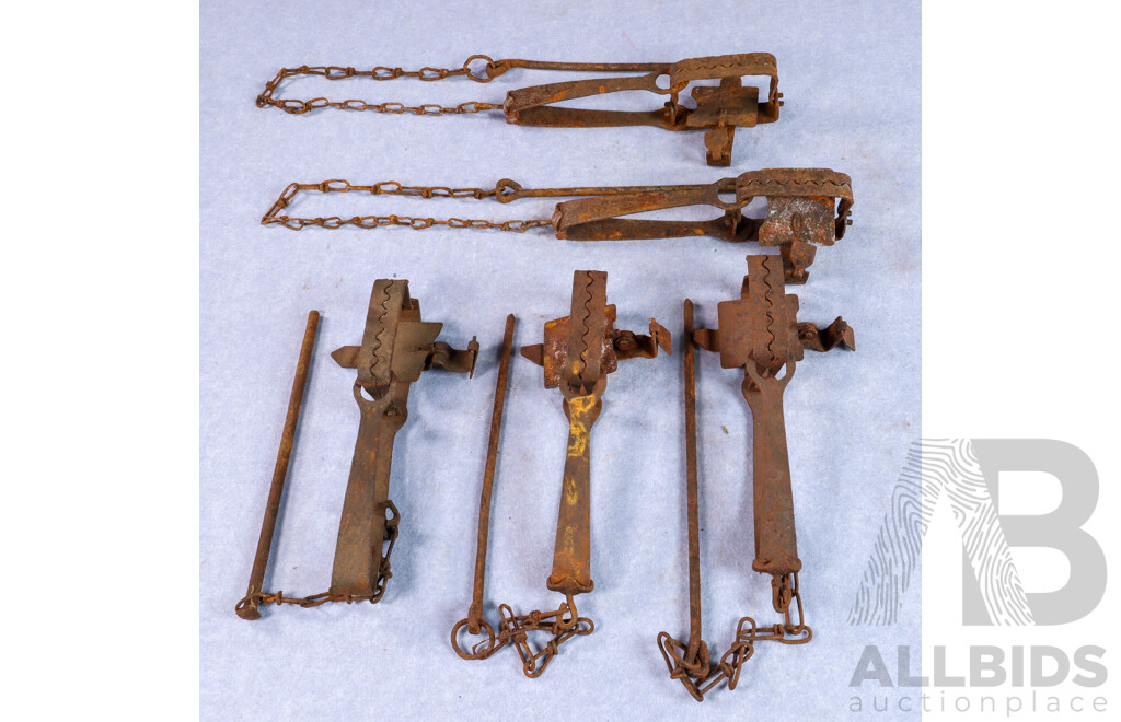 Collection of Five Vintage Metal Rabbit Traps