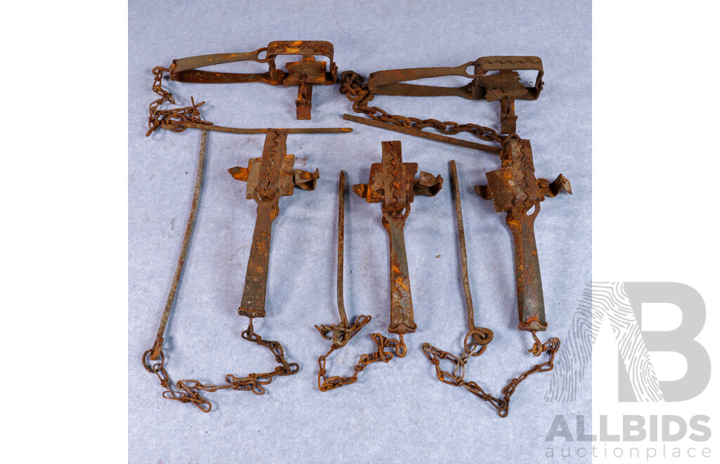 Collection of Five Vintage Metal Rabbit Traps