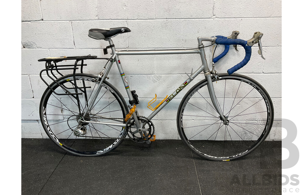 Vintage ELAN Racing Bike