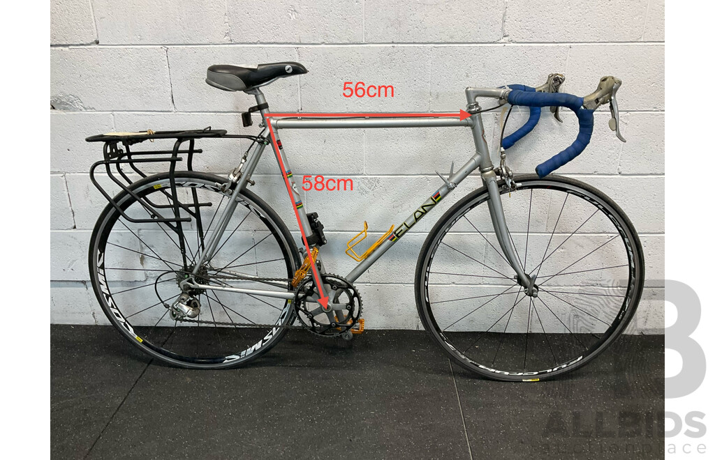 Vintage ELAN Racing Bike