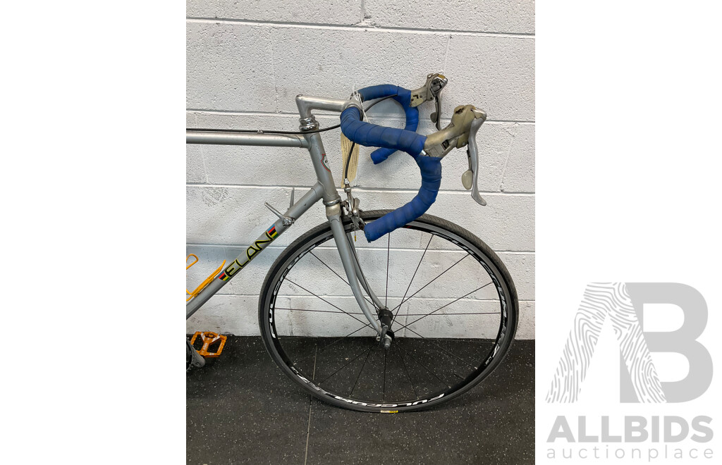 Vintage ELAN Racing Bike