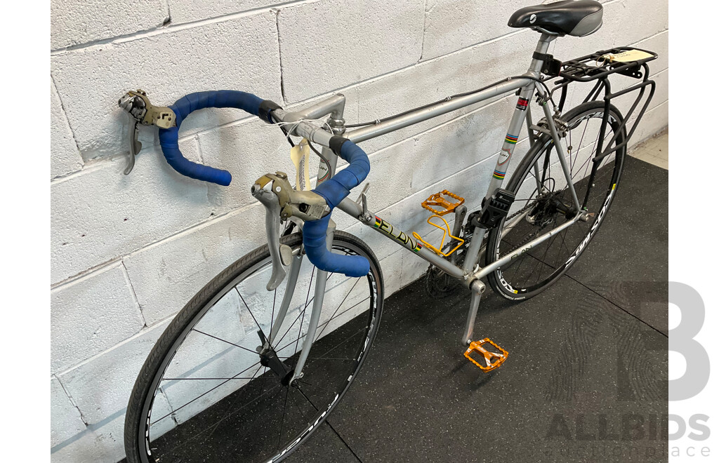 Vintage ELAN Racing Bike