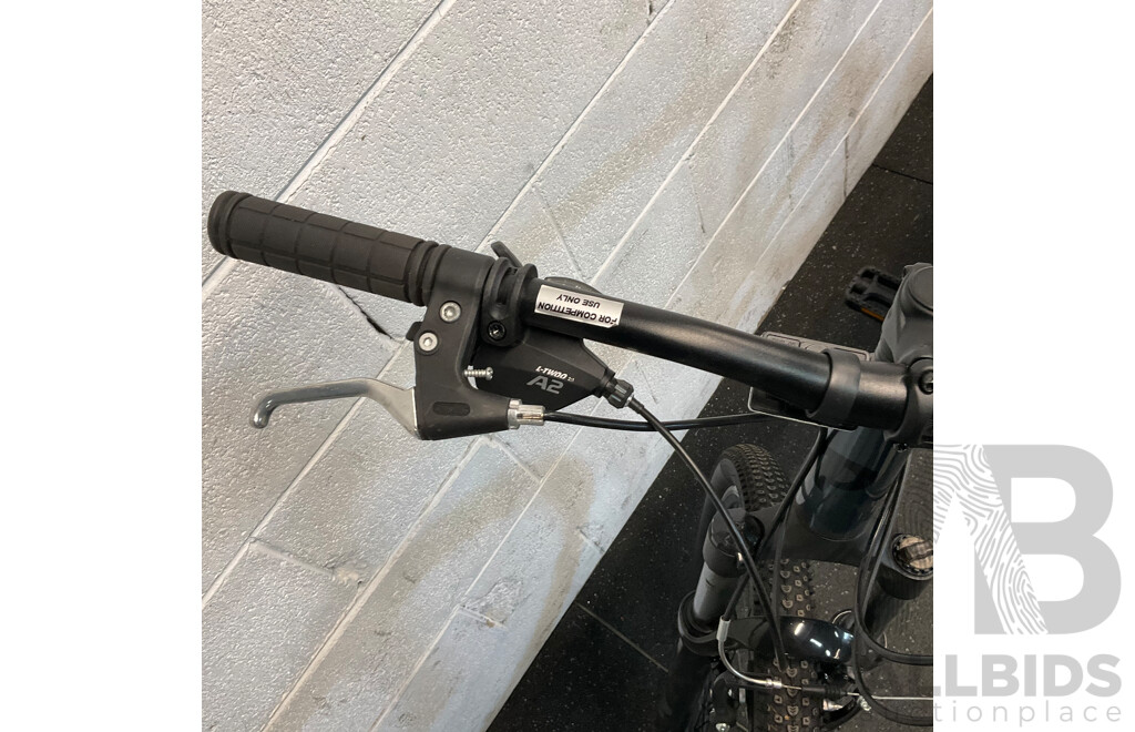 PEDAL Mountain Bike - Size L