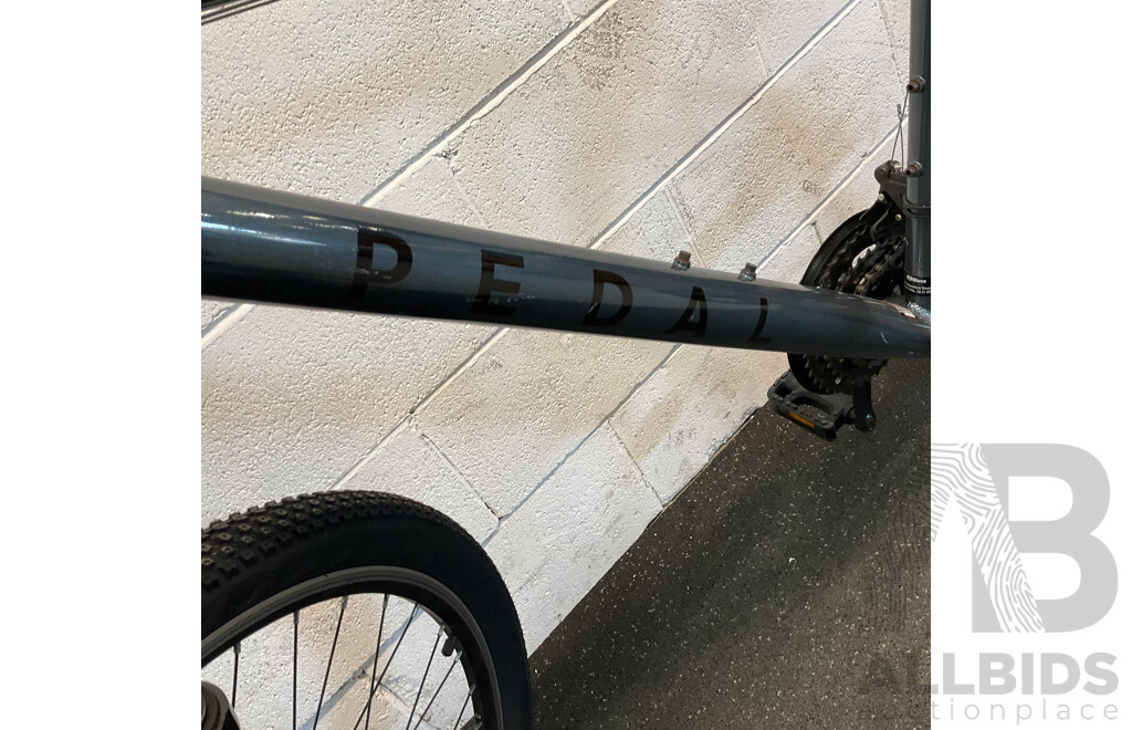 PEDAL Mountain Bike - Size L