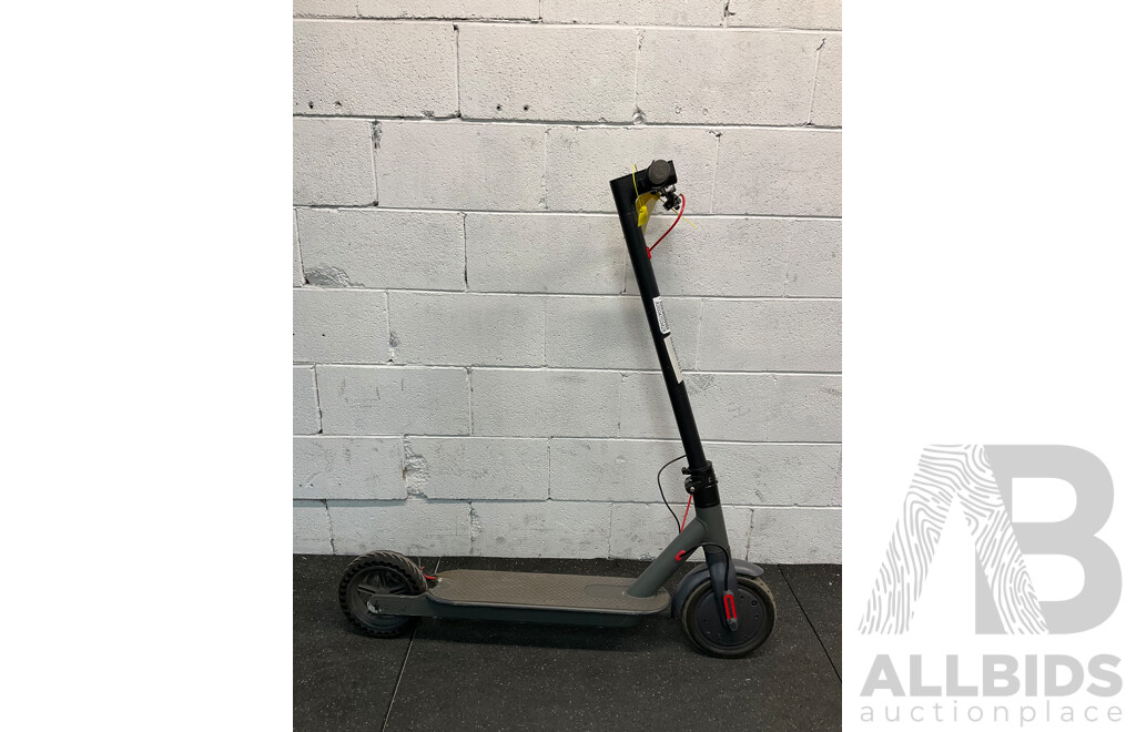 Electric Scooter
