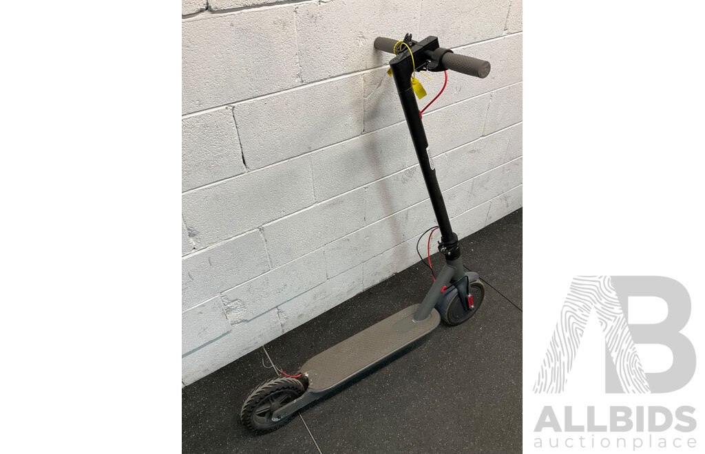 Electric Scooter