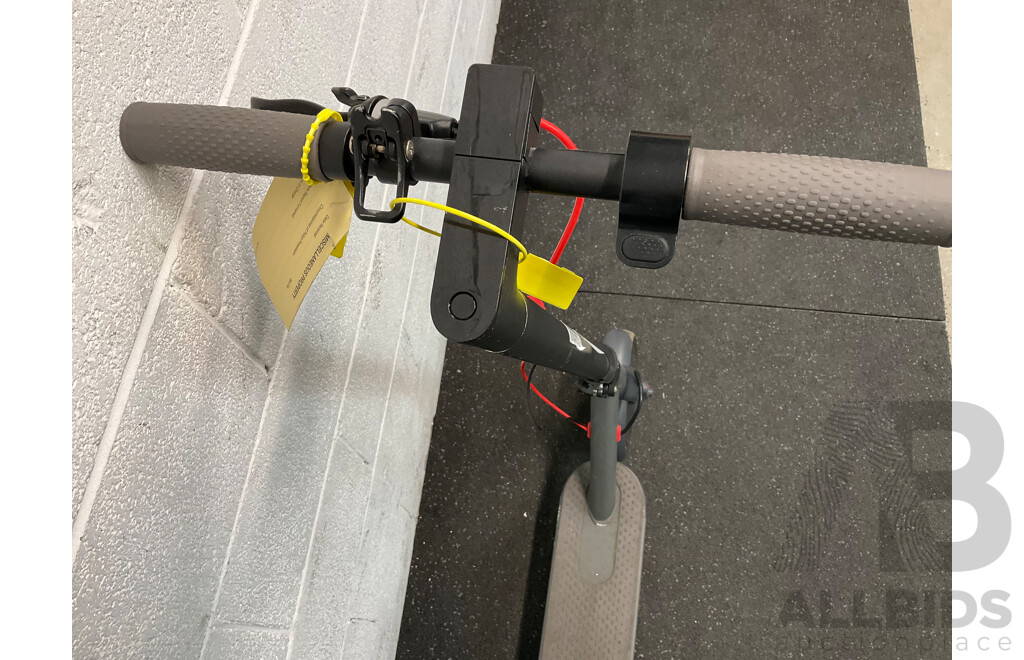 Electric Scooter