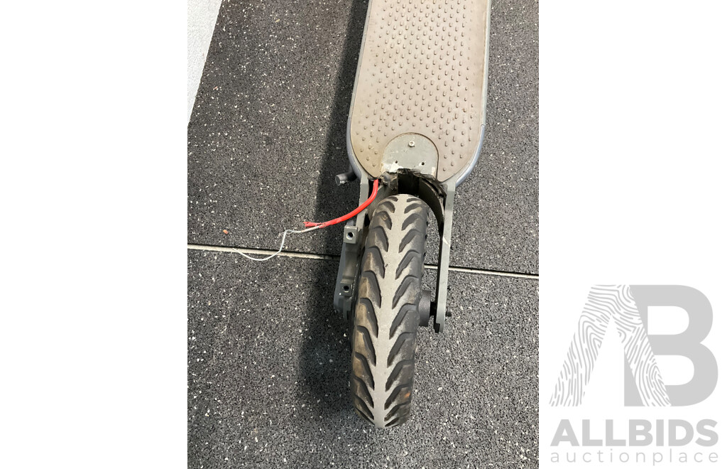 Electric Scooter