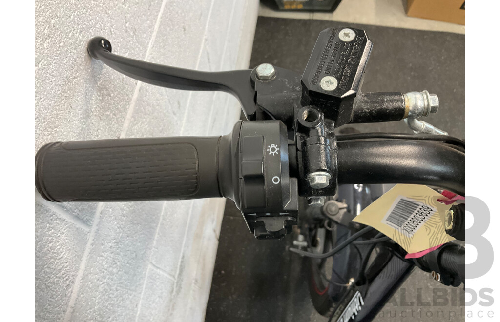 Lithium Bicycle Electric Cargo Bike