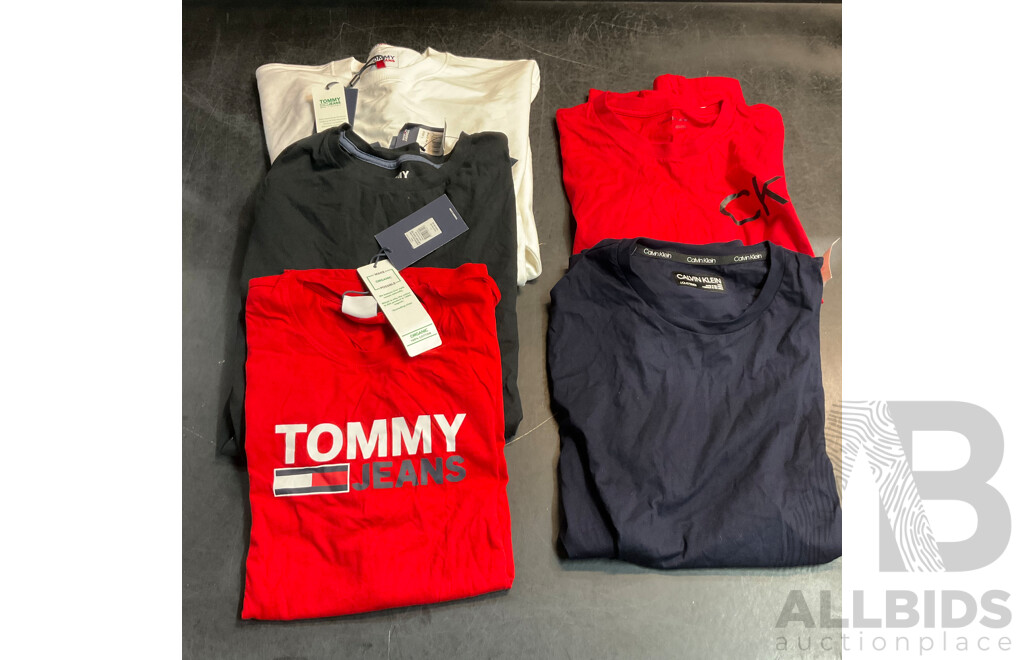 CALVIN KLEIN & TOMMY HIFILGER Tee, Long Sleeve Tee & Sweater - Size L - Lot of 5