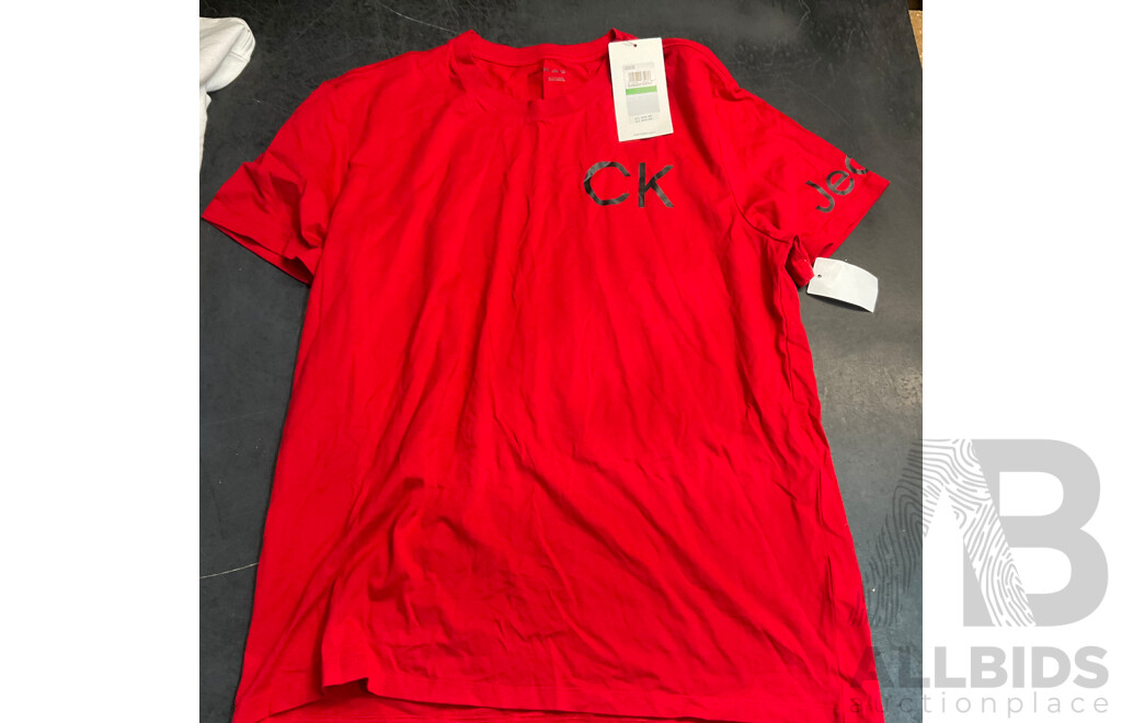CALVIN KLEIN & TOMMY HIFILGER Tee, Long Sleeve Tee & Sweater - Size L - Lot of 5