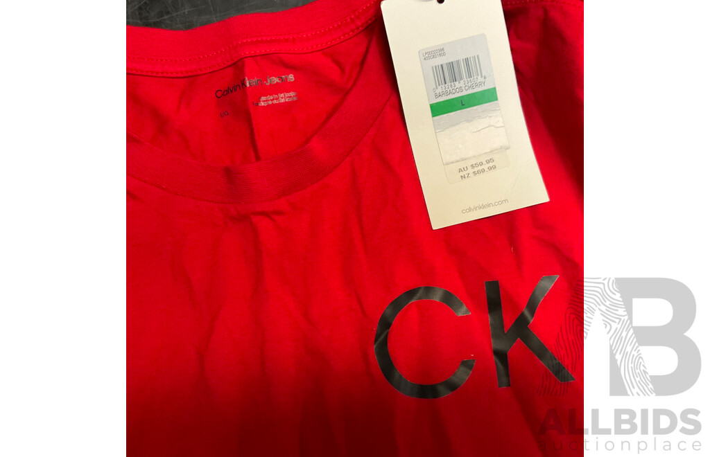 CALVIN KLEIN & TOMMY HIFILGER Tee, Long Sleeve Tee & Sweater - Size L - Lot of 5