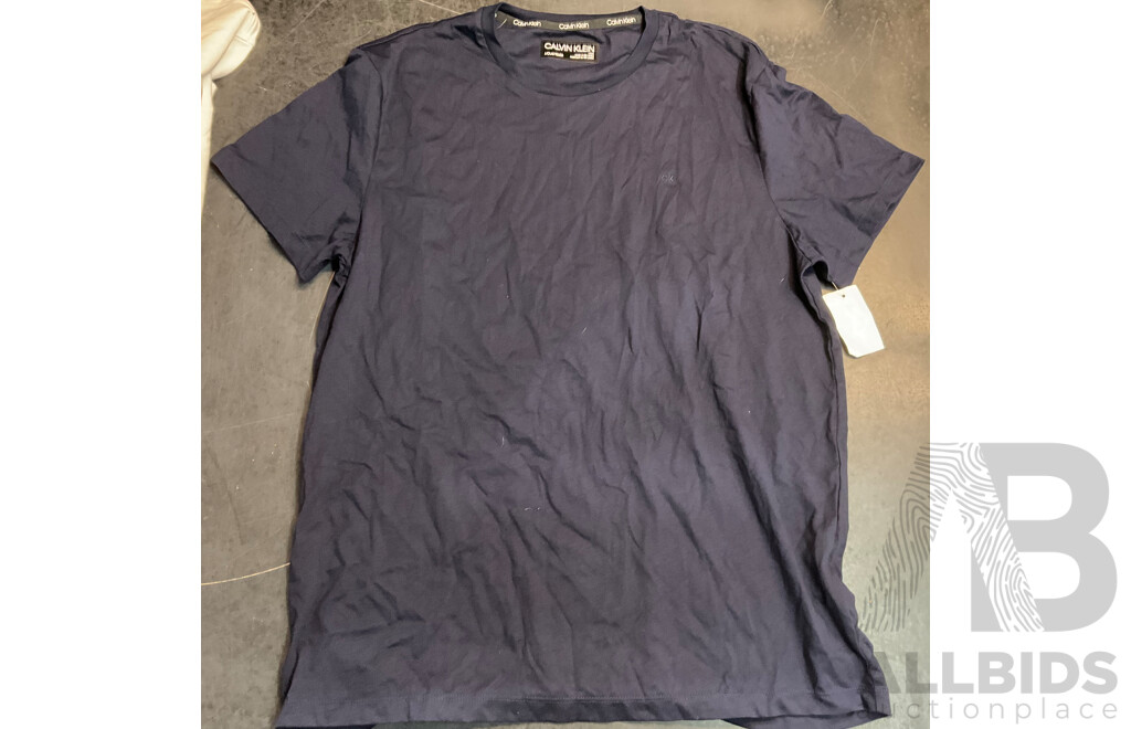 CALVIN KLEIN & TOMMY HIFILGER Tee, Long Sleeve Tee & Sweater - Size L - Lot of 5