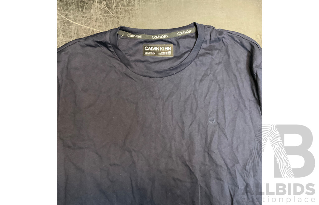 CALVIN KLEIN & TOMMY HIFILGER Tee, Long Sleeve Tee & Sweater - Size L - Lot of 5