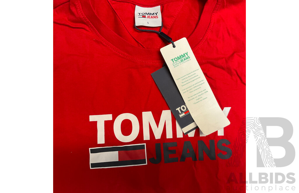 CALVIN KLEIN & TOMMY HIFILGER Tee, Long Sleeve Tee & Sweater - Size L - Lot of 5