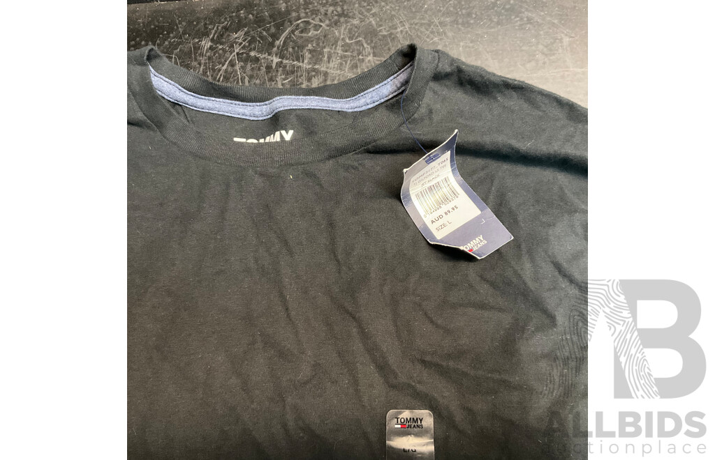 CALVIN KLEIN & TOMMY HIFILGER Tee, Long Sleeve Tee & Sweater - Size L - Lot of 5