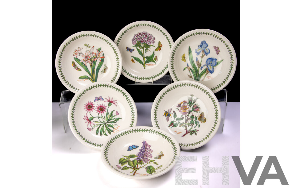 Set Six Portmeirion Shallow Pasta Bowls in the Botanic Garden Series by Susan Williams Ellis in Original Box