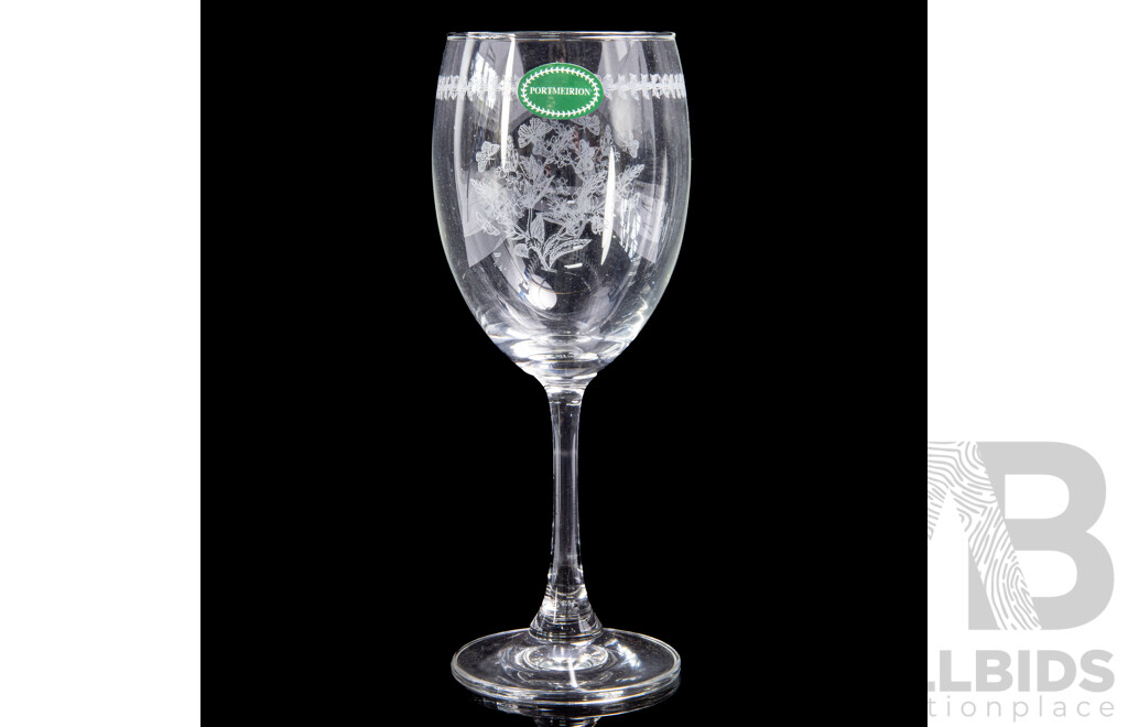 Set Six Portmeirion Goblets by Susan Williams Ellis in Original Box with Original Labels