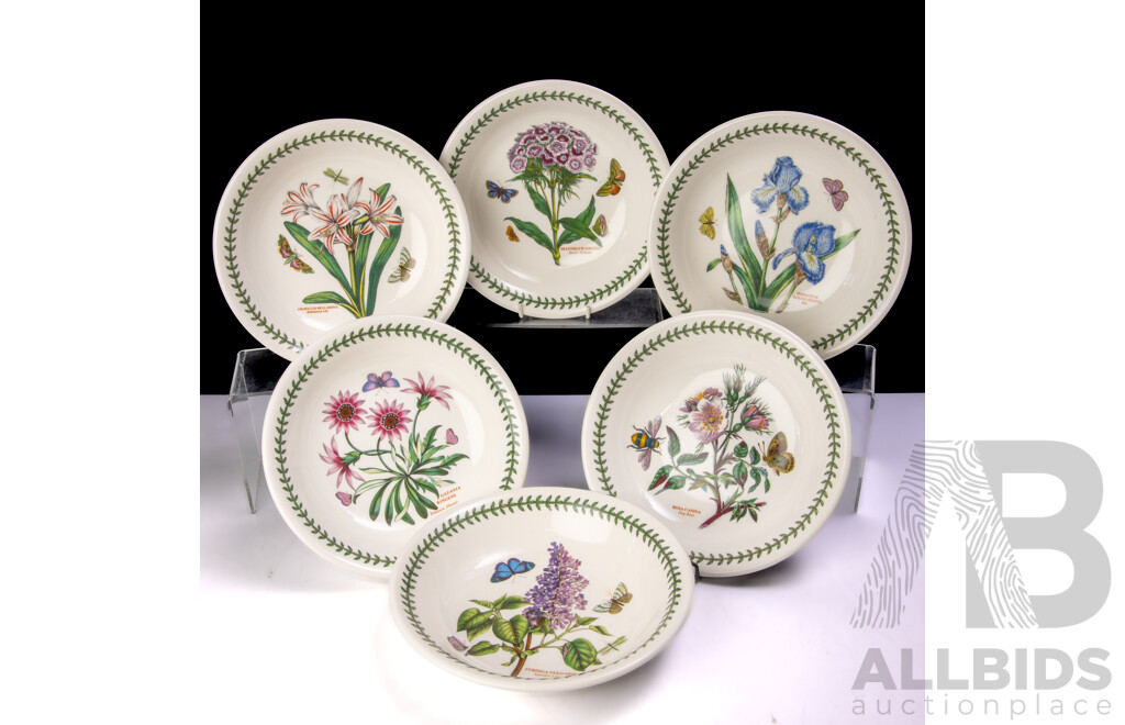 Set Six Portmeirion Shallow Pasta Bowls in the Botanic Garden Series by Susan Williams Ellis in Original Box