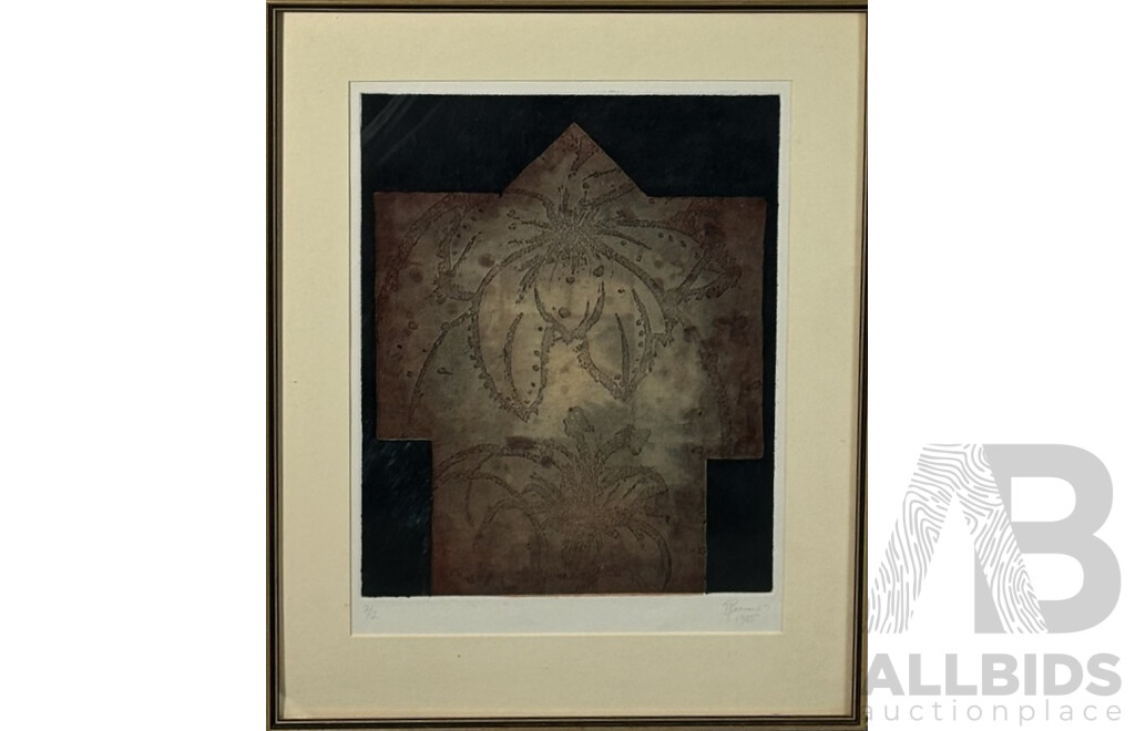 D. Berrow, (20th Century), Abstract Flower Detail (1985), Hand Coloured Editioned Original Etching, 53 x 43 cm (frame)