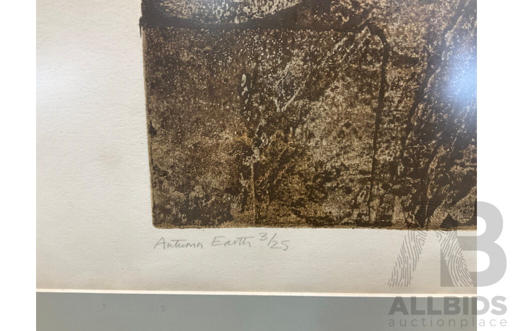 SALLY MCLAREN, Autumn Earth 1978 (84x101x4cm)