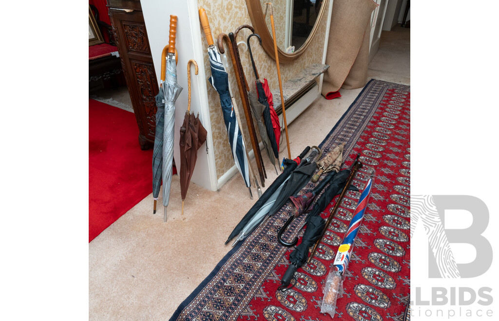 Collection Umbrellas and Walking Canes
