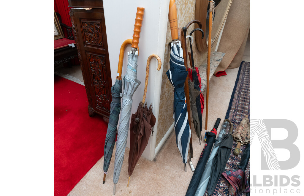 Collection Umbrellas and Walking Canes