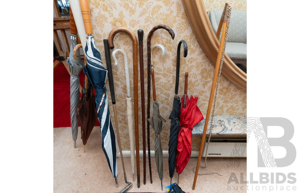 Collection Umbrellas and Walking Canes