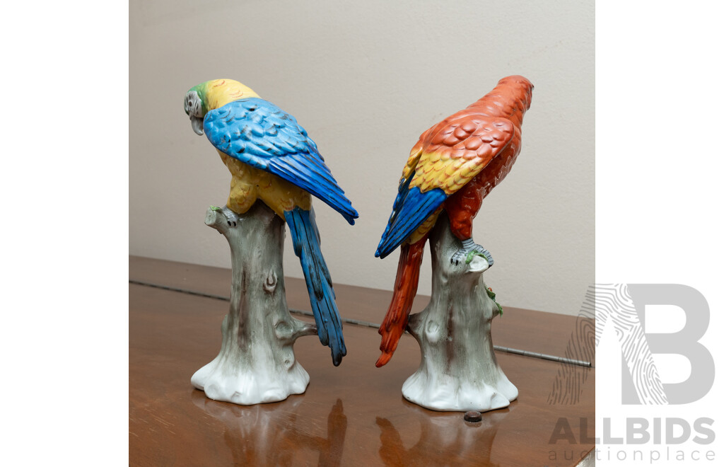 Pair Antique German Sitzendorf Porcelain Parrot Figures, Circa 1800s