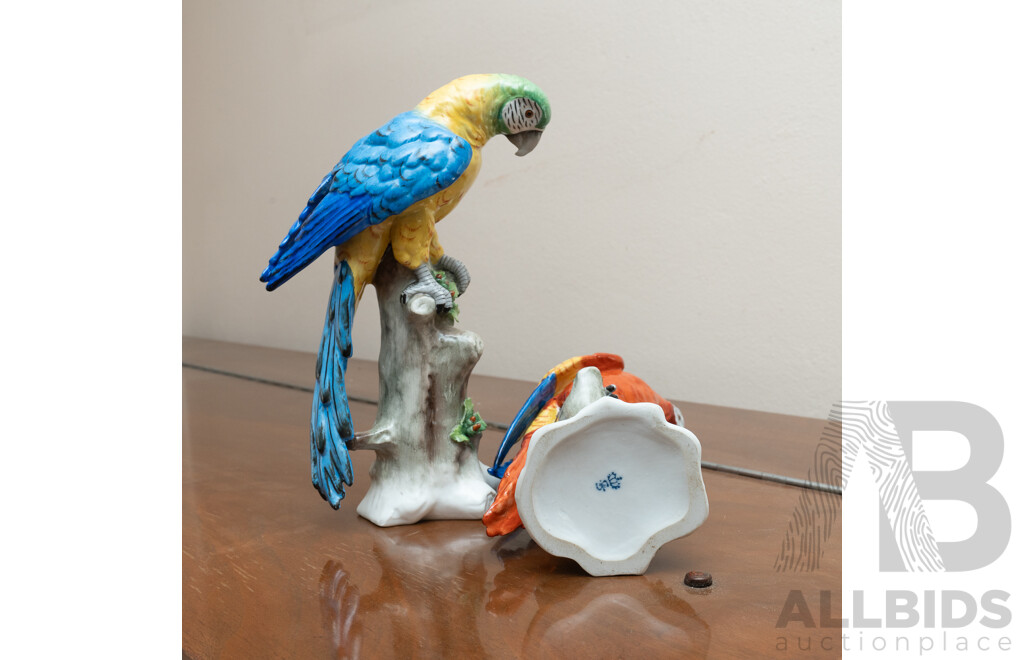 Pair Antique German Sitzendorf Porcelain Parrot Figures, Circa 1800s