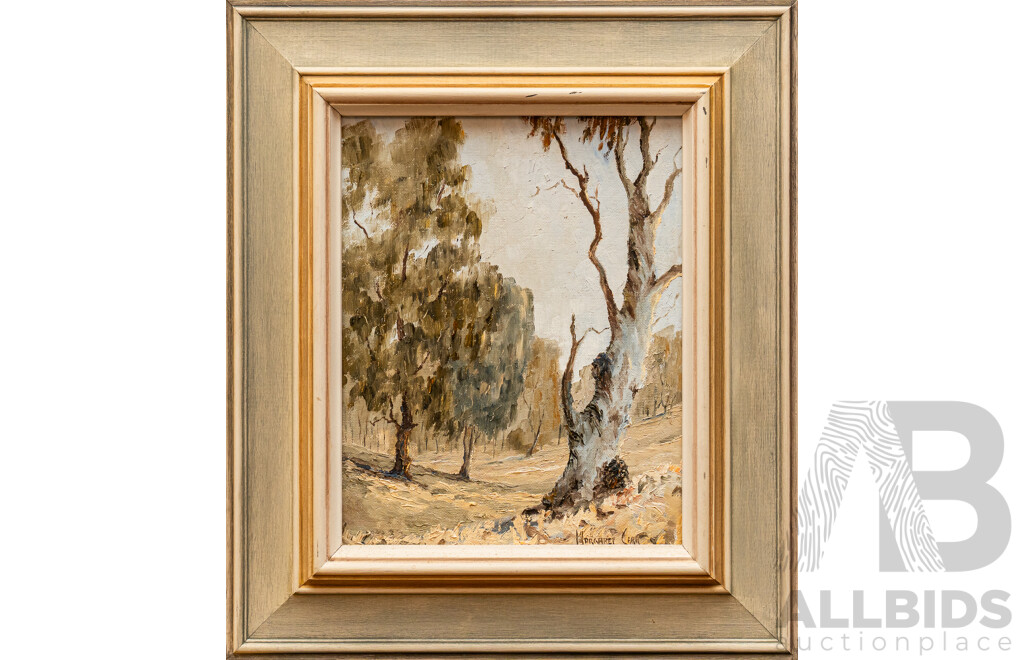 Margaret Carr, (20th Century, Australian, Working c1980s), Grey Gum, Original Oil on Canvas Board, 37 x 32 cm (frame)