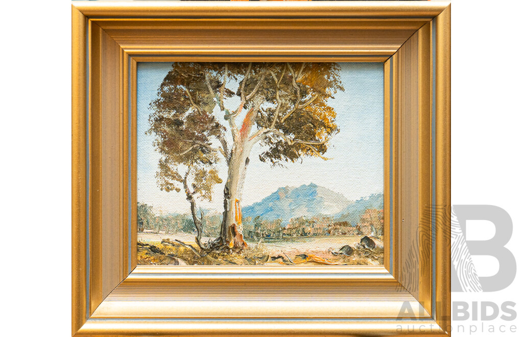 Nan Rogers, (20th Century, Australian), Dear Old Gum Trees (ACT) & Mountain Beauty (ACT), Lovely Pair of Original Oil on Canvas Miniatures, 18 x 20 cm (frames) (2)