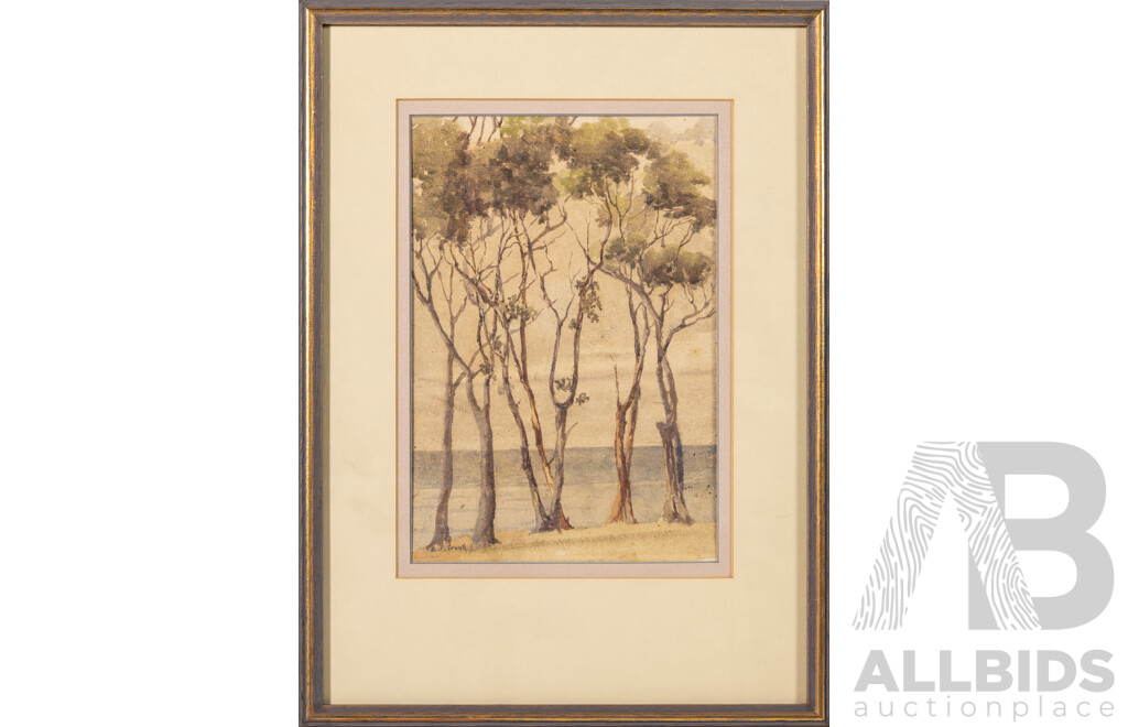 Ethel Crook, (20th Century, Australian, Active C1920s-1950s), Trees, Beautiful Original Antique Watercolour, 41 x 30 cm (frame)