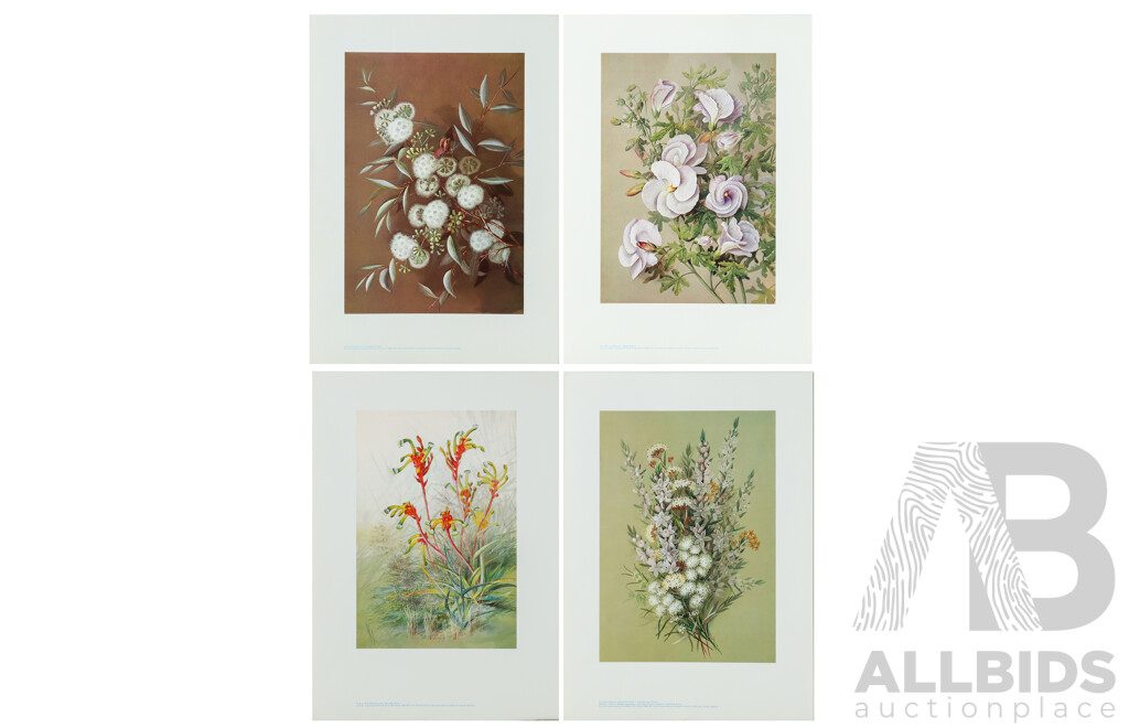 Ellis Rowan (19/20th Centuries, Australian, 1848-1922), Studies of Australian Flora, Nice Collection of Approximately Eighteen Colour Prints After Originals, 46 x 32 cm (largest sheet) (18)