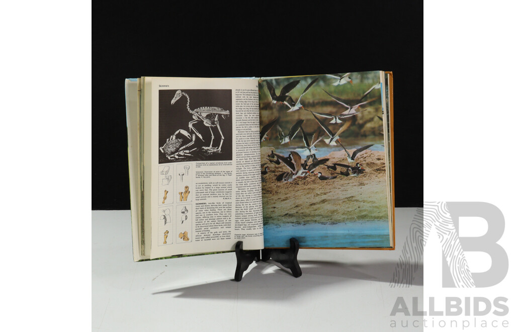 Collection of The Encyclopaedia of the Animal World, Volume 1-20