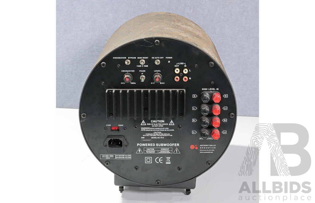 Retro Anthony Gallo Acoustics Powered Subwoofer, Model TR 3
