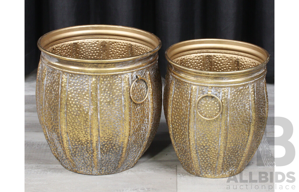 Pair of Graduated Pressed Tin Planters